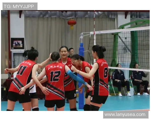 深入探讨北京排球队的团队配合与战术执行能力分析 深入探讨北京排球队的团队配合与战术执行能力分析